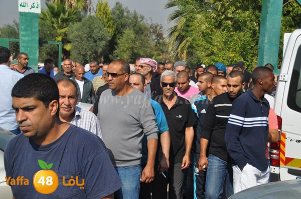 Janza yosef 3obra (10).JPG